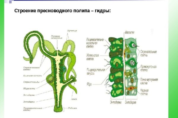 Kraken ссылка krakens13 at