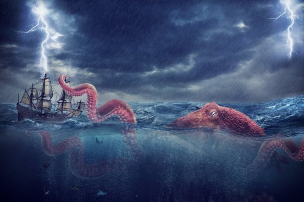 Http kraken